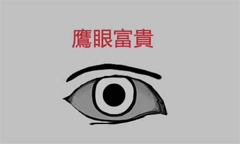 鷹眼面相男|【鷹眼面相】看穿人心與機謀！解析「鷹眼面相」，掌。